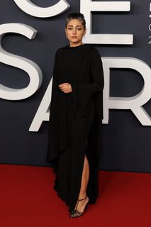 Golshifteh Farahani feet photo 1