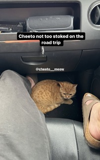 Grace Charis feet photo thumbnail