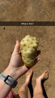 Grace Charis feet photo thumbnail