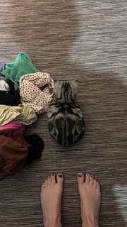 Grace Charis feet photo thumbnail