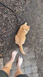 Grace Charis feet photo thumbnail