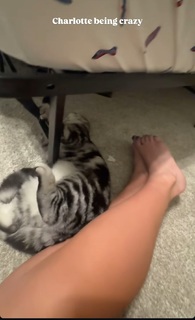 Grace Charis feet photo thumbnail