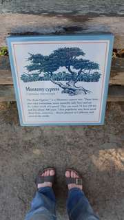 Grace Charis feet photo thumbnail