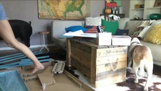 Grace Helbig feet photo thumbnail