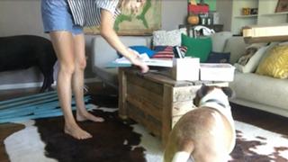 Grace Helbig feet photo thumbnail
