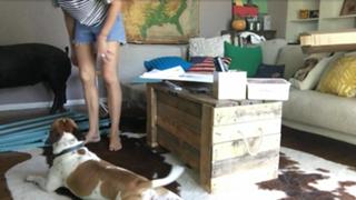 Grace Helbig feet photo thumbnail