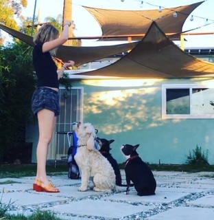 Grace Phipps feet photo 2