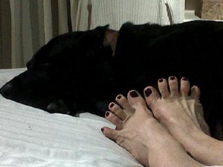 Graciela Alfano feet photo 6
