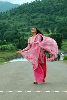 Gracy Singh feet photo 19