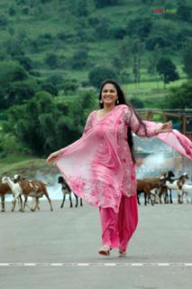 Gracy Singh feet photo 16