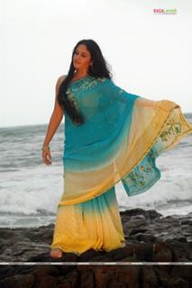 Gracy Singh feet photo 9