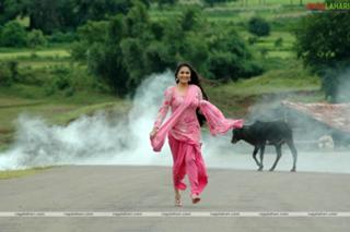 Gracy Singh feet photo 19