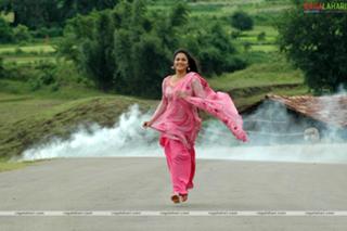 Gracy Singh feet photo 17