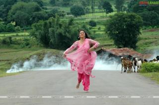 Gracy Singh feet photo 16
