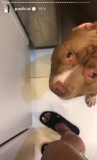 Gracyanne Barbosa feet photo thumbnail