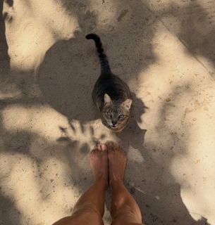 Grazi Massafera feet photo 2
