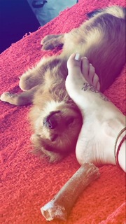 Greeicy Rendón feet photo 16