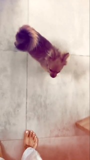 Greeicy Rendón feet photo 15