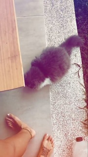 Greeicy Rendón feet photo 8