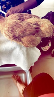 Greeicy Rendón feet photo 11