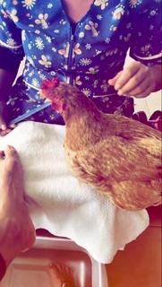 Greeicy Rendón feet photo 10