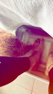 Greeicy Rendón feet photo 8