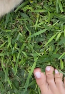 Greeicy Rendón feet photo 3