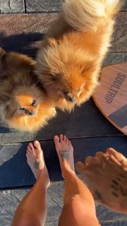 Greeicy Rendón feet photo 4