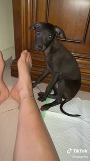 Greta Menchi feet photo 10