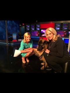 Gretchen Carlson feet photo thumbnail