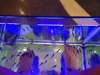 Gretchen Carlson feet photo thumbnail