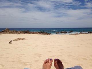 Gretchen Carlson feet photo thumbnail