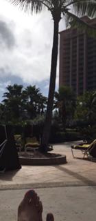 Gretchen Carlson feet photo thumbnail