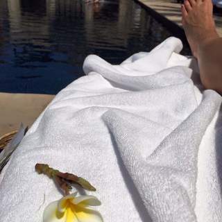 Gretchen Carlson feet photo thumbnail