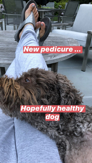 Gretchen Carlson feet photo thumbnail