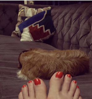 Grey DeLisle feet photo 8