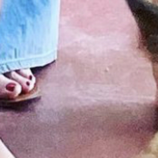 Grey DeLisle feet photo 13