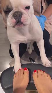 Guendalina Tavassi feet photo 15