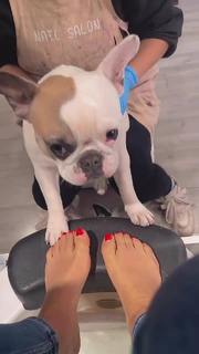 Guendalina Tavassi feet photo 11