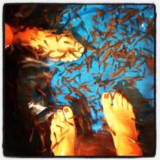 Guilhermina Guinle feet photo 2