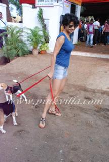 Gul Panag feet photo 12