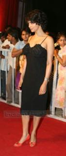 Gul Panag feet photo 17