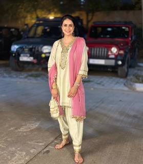 Gul Panag feet photo 19