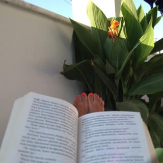 Gulcin Ergul feet photo 20
