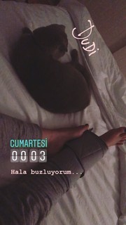 Gulcin Ergul feet photo 10