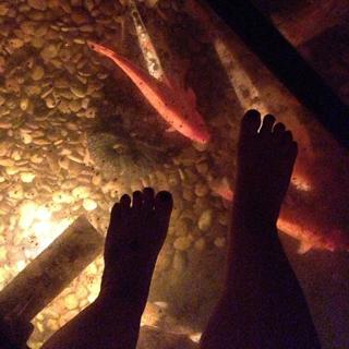 Guta Stresser feet photo 10