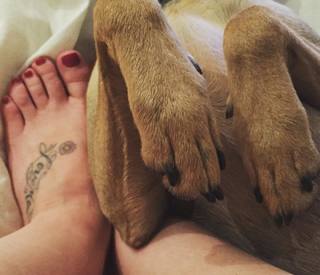 Guta Stresser feet photo 4