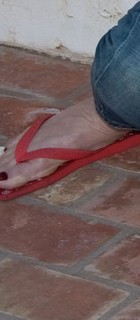 Gwen Stefani feet photo thumbnail