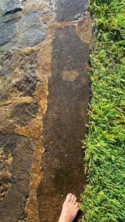 Gwen van Poorten feet photo 14