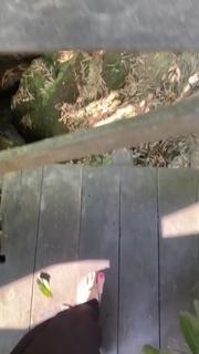 Gwen van Poorten feet photo 4